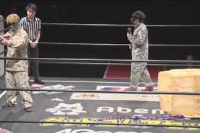 metal gear ddt